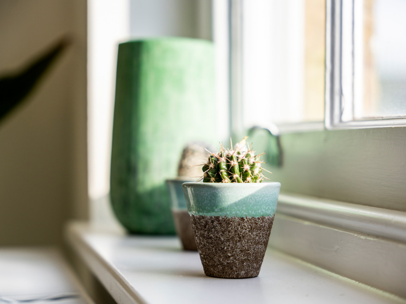 TherapeuticRoomsPlants